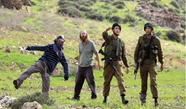 أرشيفية